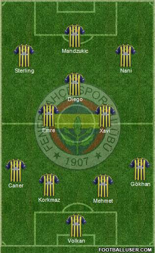 Fenerbahçe SK Formation 2014