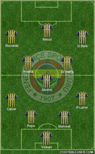 Fenerbahçe SK Formation 2014