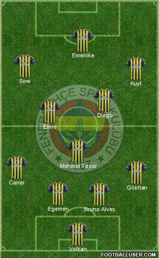 Fenerbahçe SK Formation 2014