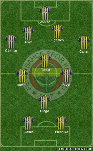 Fenerbahçe SK Formation 2014
