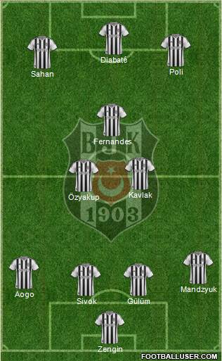 Besiktas JK Formation 2014
