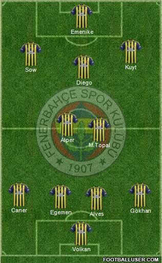 Fenerbahçe SK Formation 2014