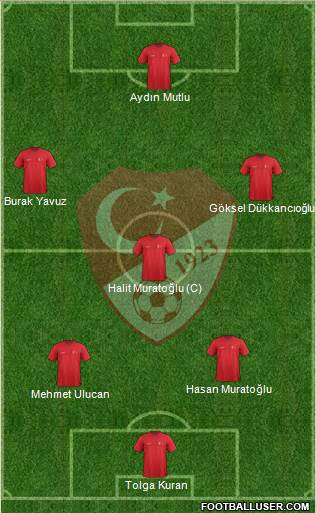 Turkey Formation 2014