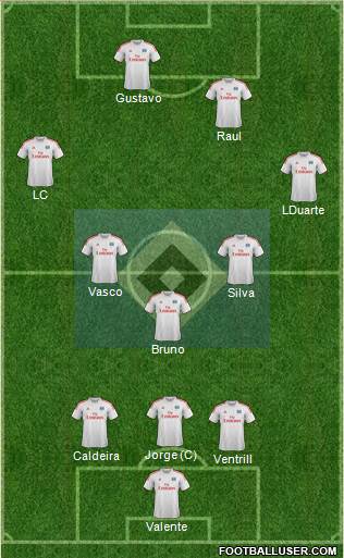 Hamburger SV Formation 2014