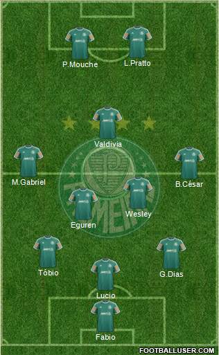 SE Palmeiras Formation 2014
