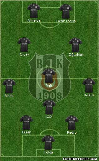 Besiktas JK Formation 2014