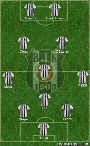 Besiktas JK Formation 2014