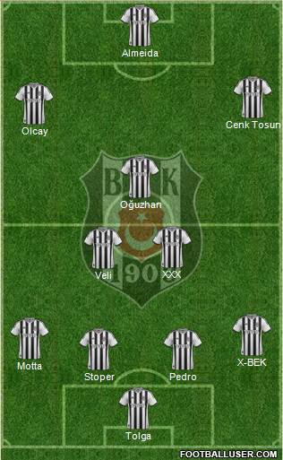 Besiktas JK Formation 2014