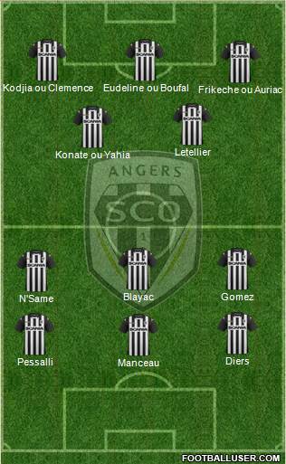 Angers SCO Formation 2014