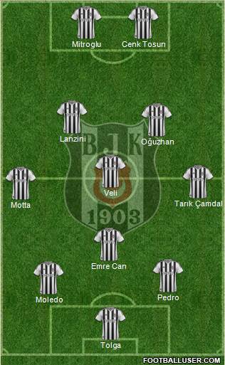 Besiktas JK Formation 2014
