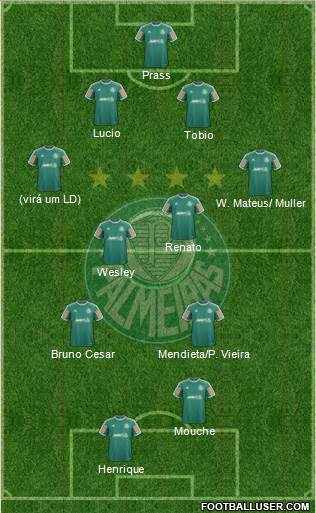 SE Palmeiras Formation 2014