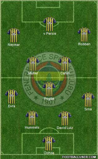 Fenerbahçe SK Formation 2014