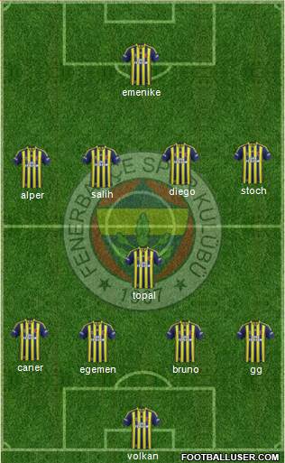 Fenerbahçe SK Formation 2014