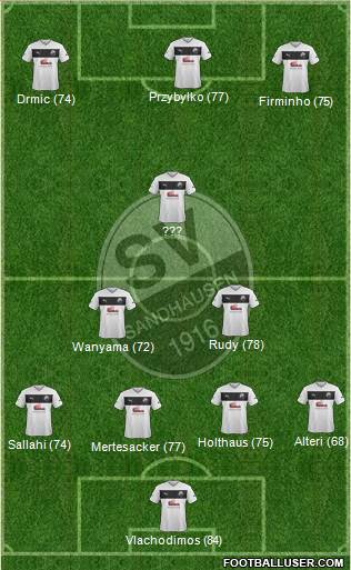 SV Sandhausen Formation 2014