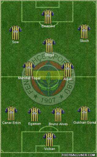Fenerbahçe SK Formation 2014