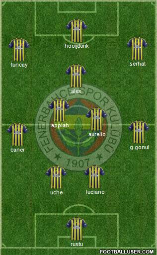 Fenerbahçe SK Formation 2014