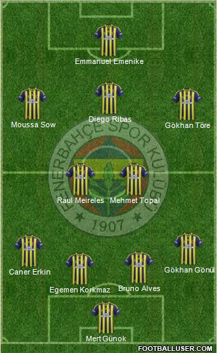 Fenerbahçe SK Formation 2014
