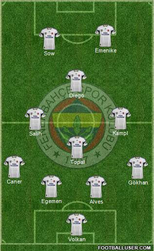 Fenerbahçe SK Formation 2014