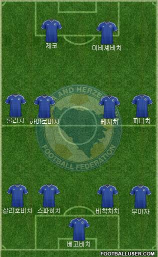 Bosnia and Herzegovina Formation 2014