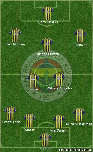 Fenerbahçe SK Formation 2014