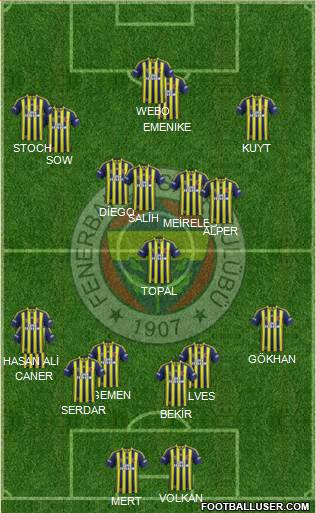 Fenerbahçe SK Formation 2014