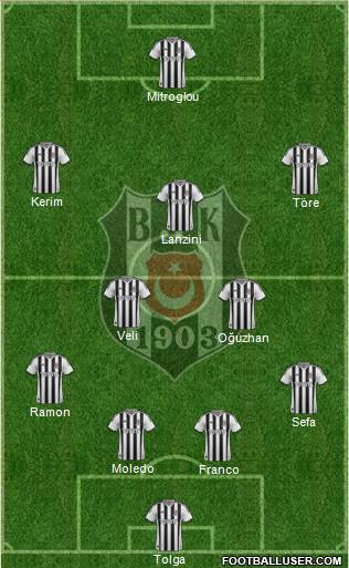 Besiktas JK Formation 2014