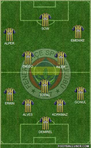 Fenerbahçe SK Formation 2014
