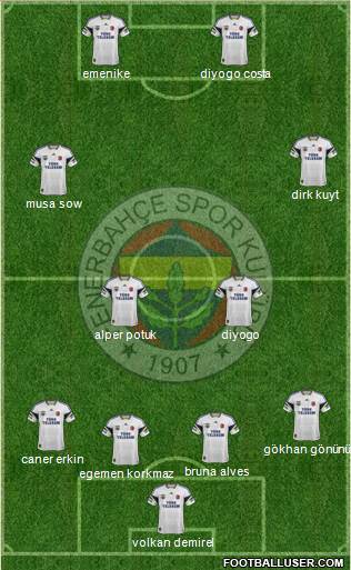 Fenerbahçe SK Formation 2014