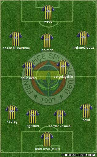 Fenerbahçe SK Formation 2014