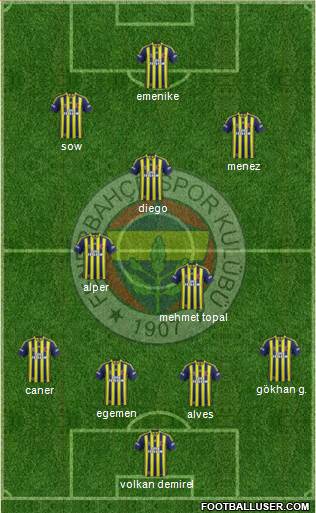 Fenerbahçe SK Formation 2014