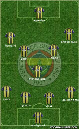 Fenerbahçe SK Formation 2014