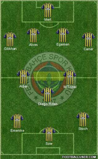 Fenerbahçe SK Formation 2014