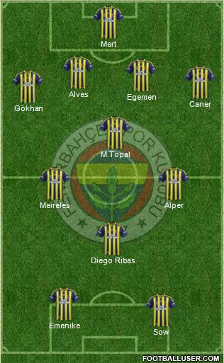 Fenerbahçe SK Formation 2014