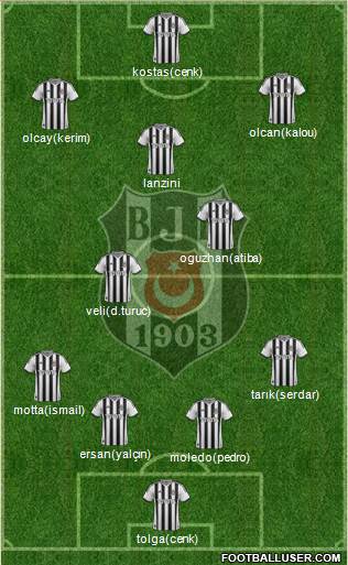 Besiktas JK Formation 2014