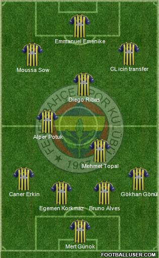 Fenerbahçe SK Formation 2014