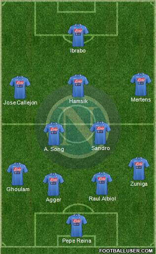 Napoli Formation 2014