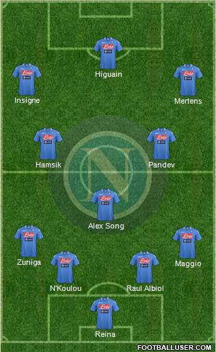 Napoli Formation 2014