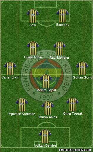 Fenerbahçe SK Formation 2014