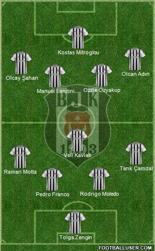 Besiktas JK Formation 2014