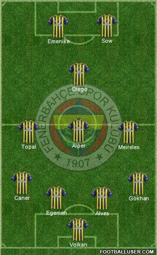 Fenerbahçe SK Formation 2014