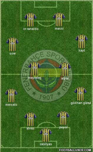 Fenerbahçe SK Formation 2014