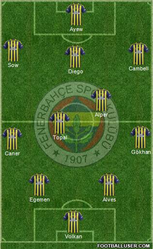 Fenerbahçe SK Formation 2014