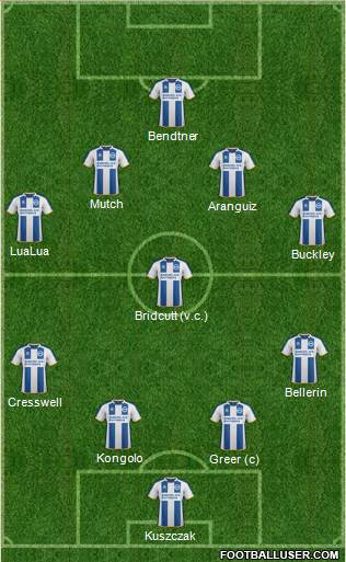 Brighton and Hove Albion Formation 2014