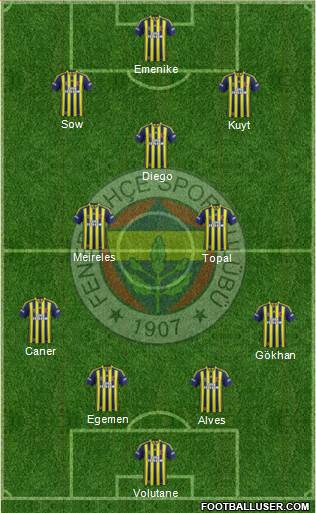 Fenerbahçe SK Formation 2014