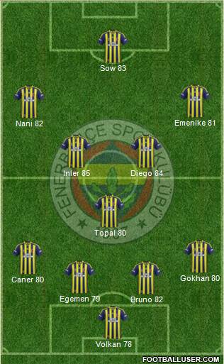 Fenerbahçe SK Formation 2014