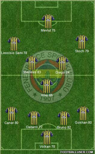Fenerbahçe SK Formation 2014