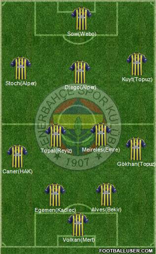 Fenerbahçe SK Formation 2014
