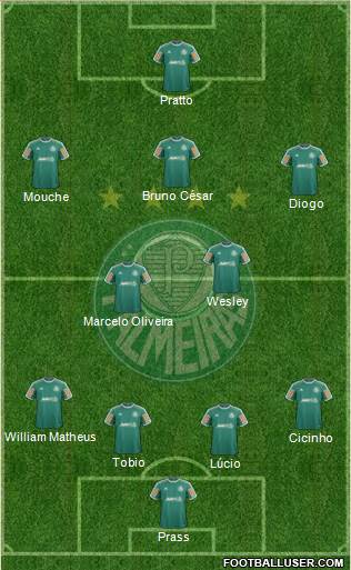 SE Palmeiras Formation 2014