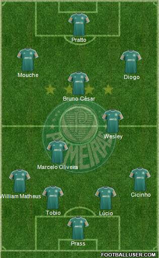 SE Palmeiras Formation 2014
