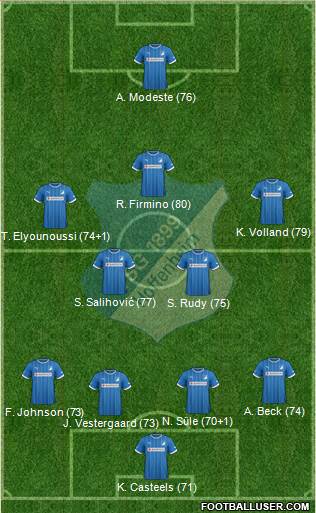 TSG 1899 Hoffenheim Formation 2014